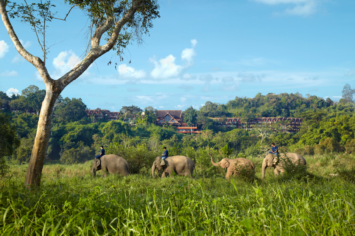 Exterior and Elephants at Anantara Golden Triangle Resort