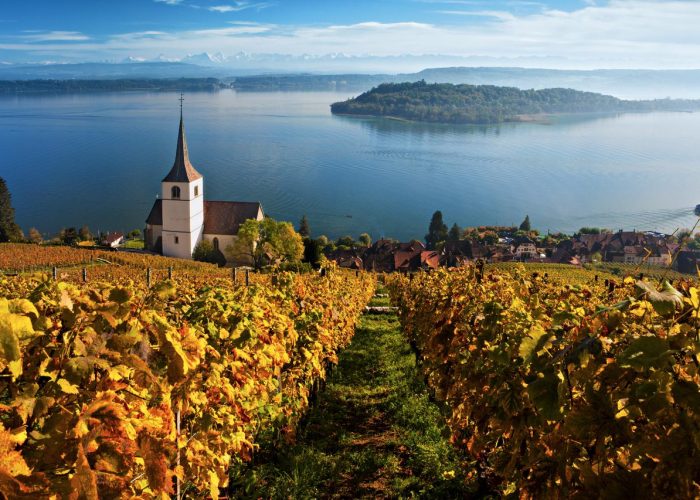The UNESCO protected Lavaux hillside vineyard is the largest contiguous vineyard region in Switzerland.