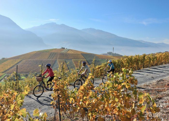 Cycling around the vineyards in Valais, Switzerland.