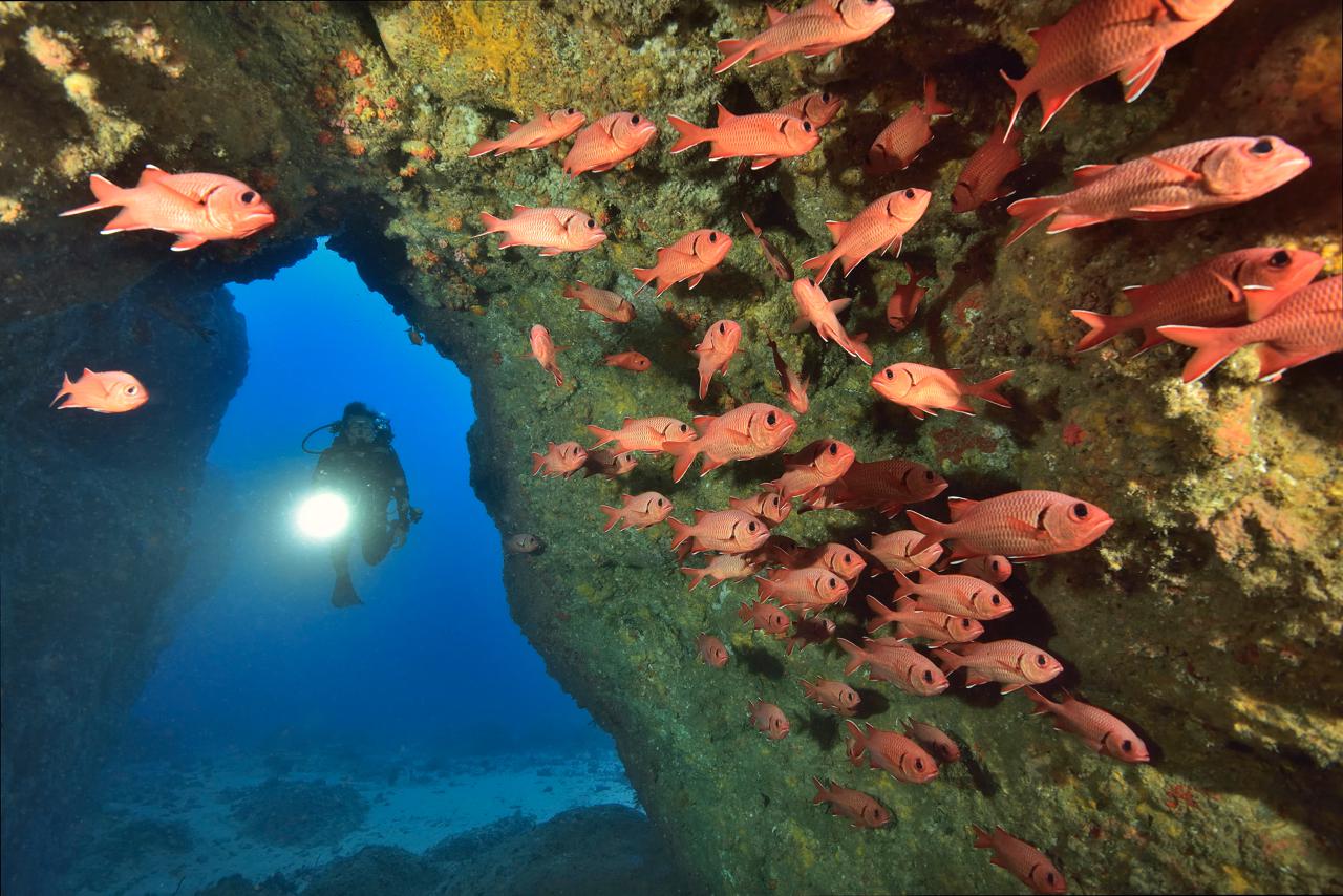 Scuba diving in Mauritius
