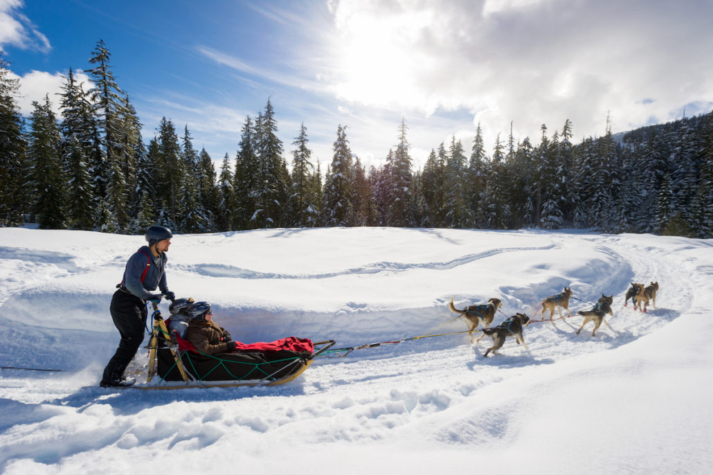 Dogsledding in the Callaghan Valley with Canadian Wilderness Adventures