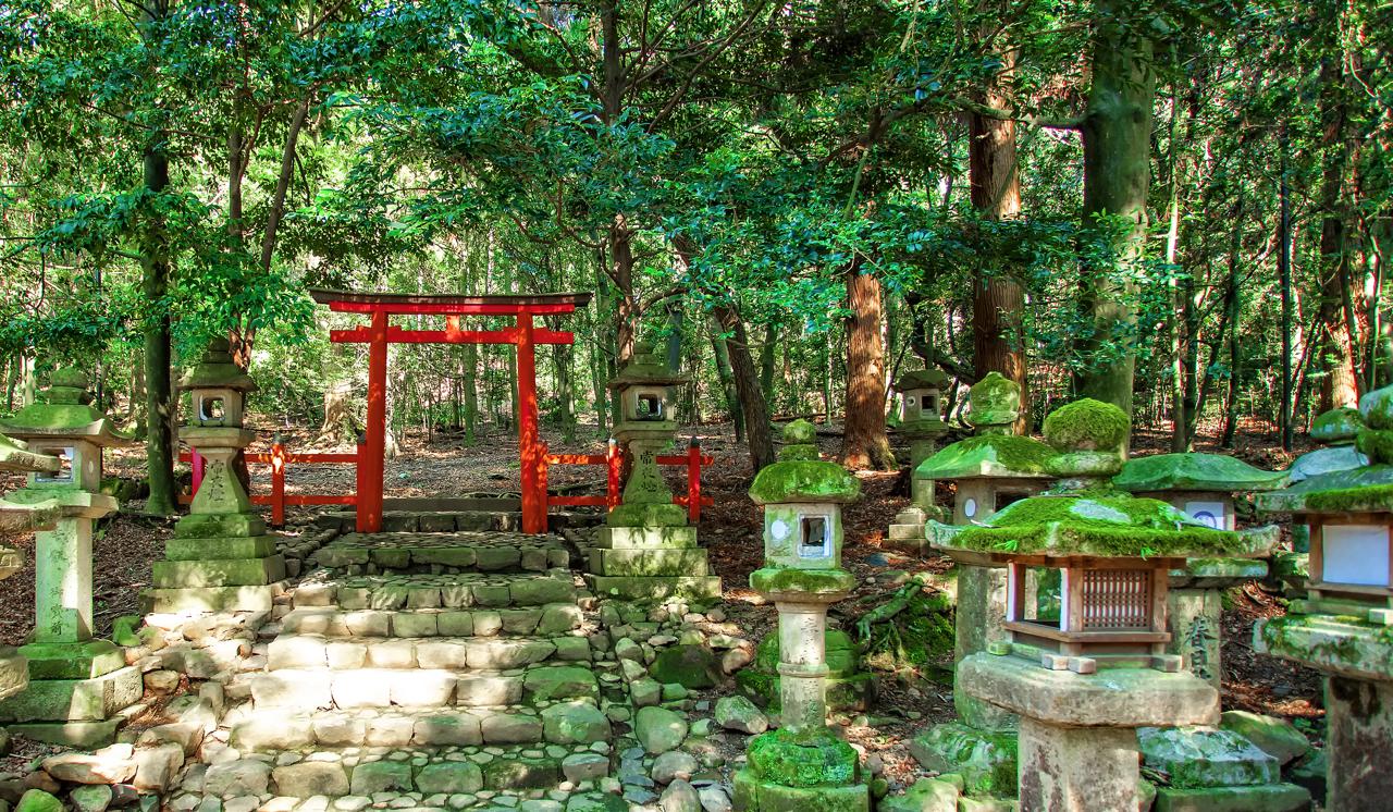 Stone lanterns and a Torii gate at the Kasuga Taisha Shrine in Nara, Japan.