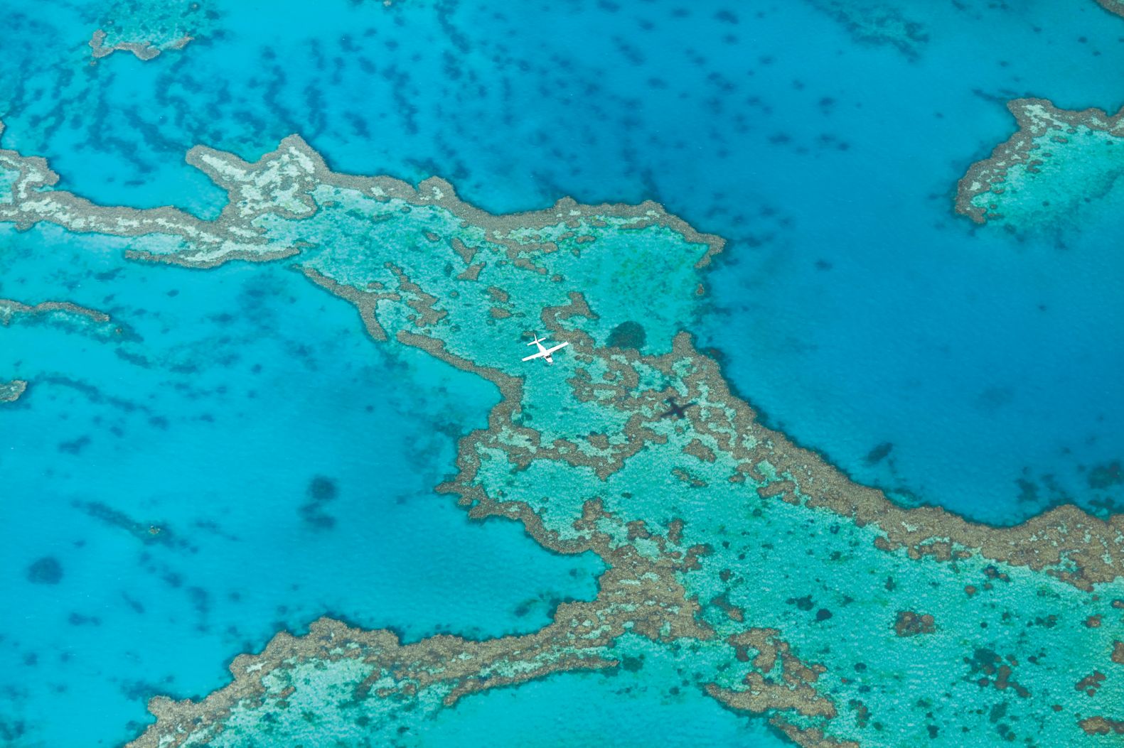 qualia Great Barrier Reef