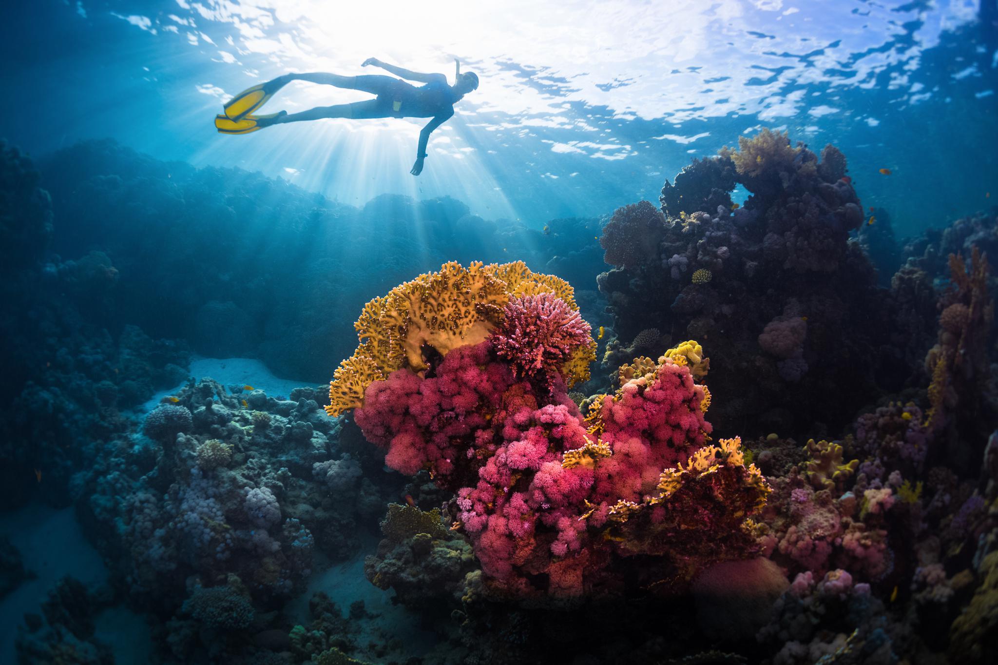 Snorkelling above reefs