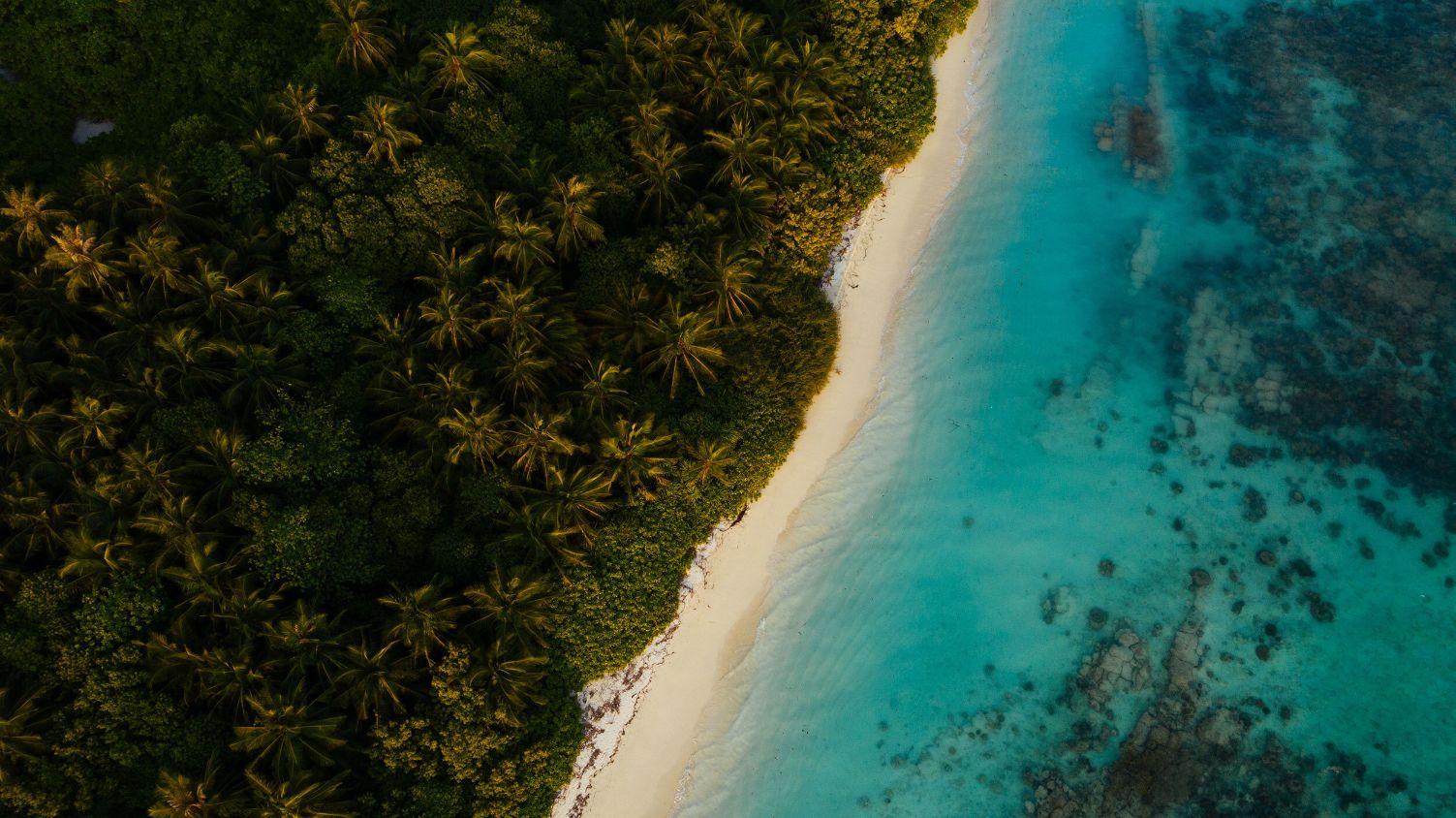 Aerial beach view, Maldives