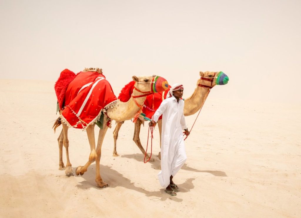 Qatar desert. Image by Edwina Hart