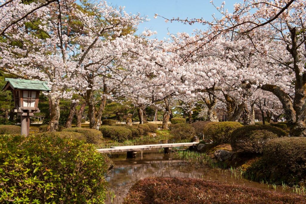 Japanese travel experiences — Kenrokuen Gardens in Kanazawa. Credit: JNTO.