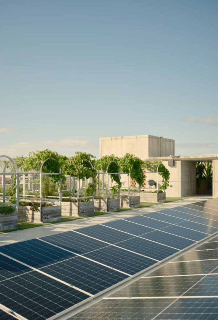 Rooftop gardens at The Calile. Image supplied.