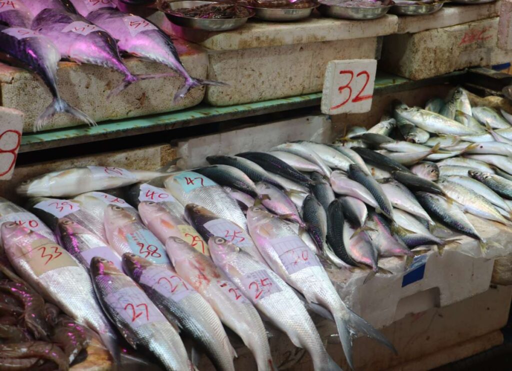 Fish at Wan Chai market. Credit: Katrina Holden