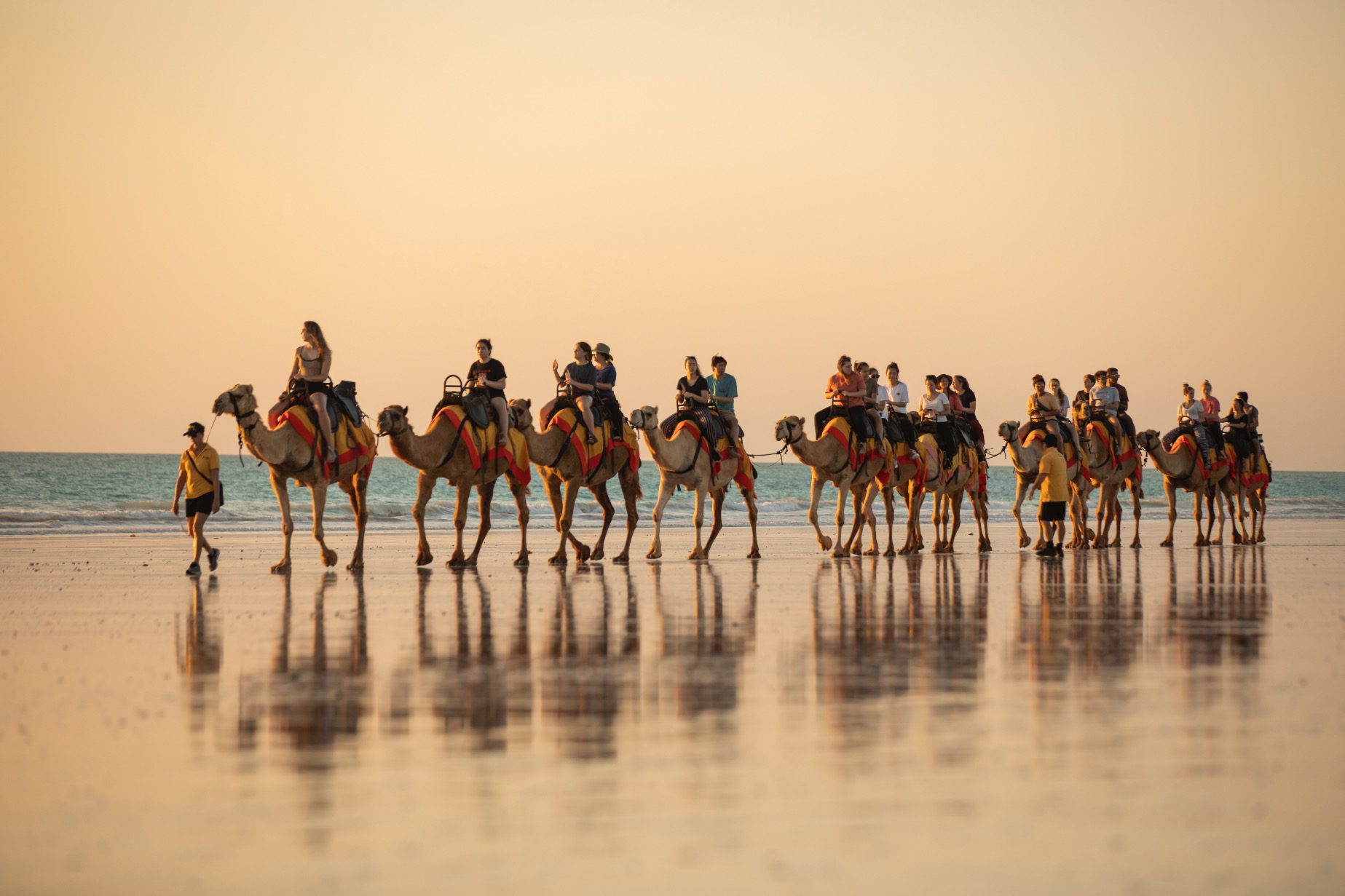 Camels at sunset on Cable Beach, Broome