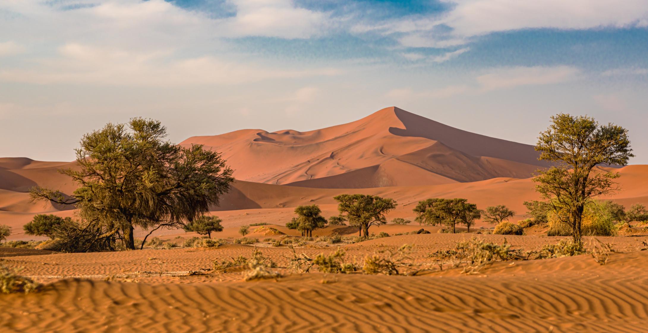 Sossusvlei Sand Dunes in Namibia
