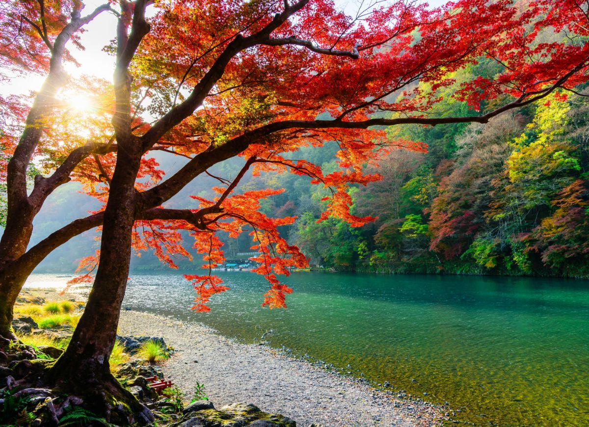 Arashiyama region in Autumn
